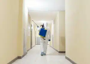 Servizio pulizia post mortem