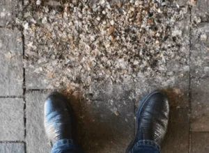 Bonifica escrementi di uccelli